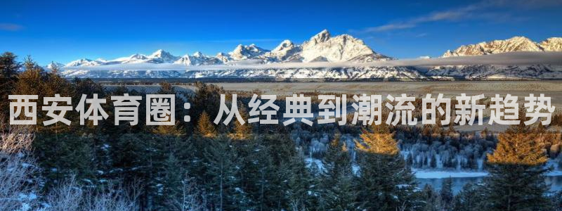 3377体育官方集团官网:西安体育圈:从经典到潮流的新趋势