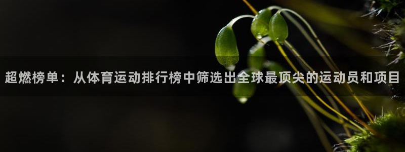 3377体育官网下载平台注册流程图:超燃榜单:从体育运动排行