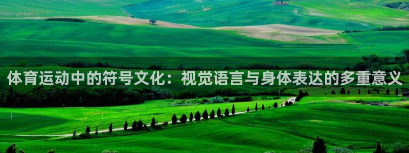 3377体育官网下载平台假的吗是真的吗:体育运动中的符号文化