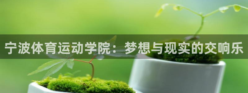 3377体育官方正版app集团E.ON:宁波体育运动学院:梦